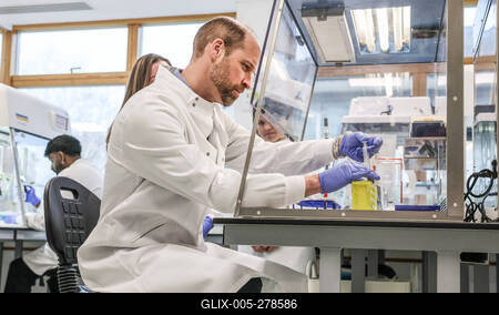 Prince William in Guildford-stock-foto