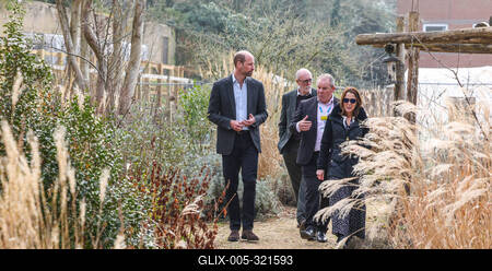 Prince William in Reading-stock-foto