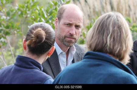 Prince William in Reading-stock-foto