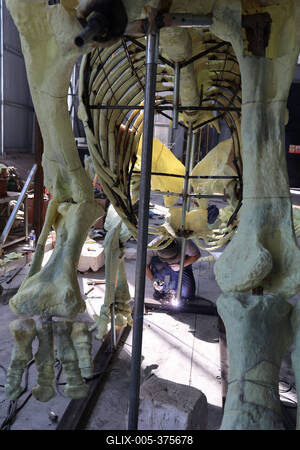 Paleontological Restoration Production in Binzhou-stock-foto