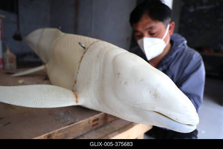 Paleontological Restoration Production in Binzhou-stock-foto