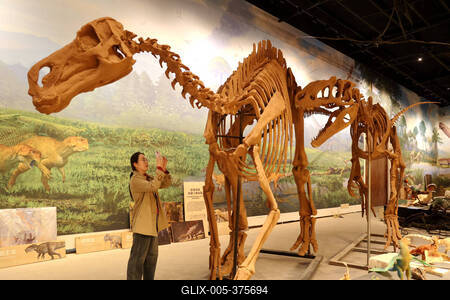 Paleontological Restoration Production in Binzhou-stock-foto