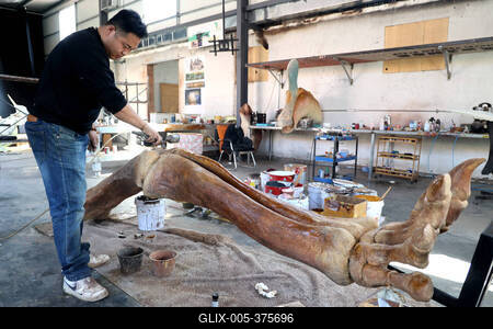 Paleontological Restoration Production in Binzhou-stock-foto