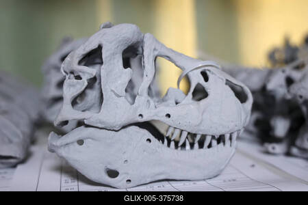 Paleontological Restoration Production in Binzhou-stock-foto