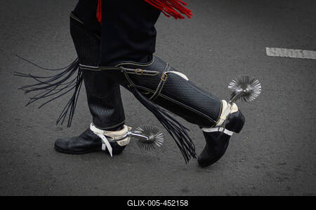 Berlin, Eindr?cke vom Karneval der Kulturen-stock-foto