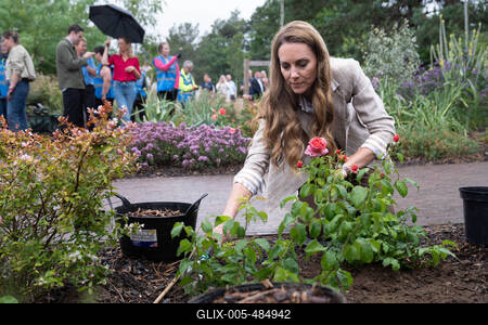 Kate Middleton in Colchester-stock-foto