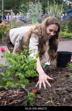 Kate Middleton in Colchester-stock-foto