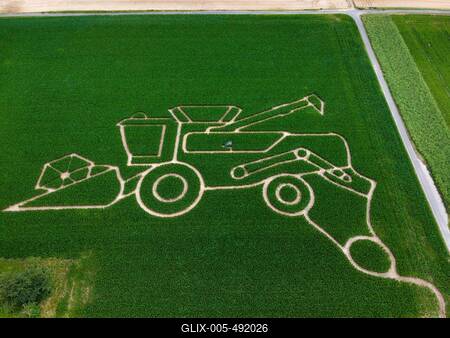 Maislabyrinth bei Frankfurt am Main-stock-foto