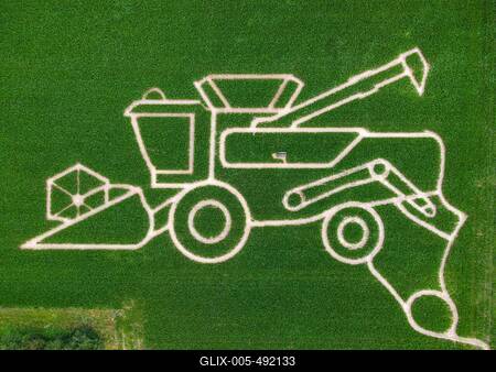 Maislabyrinth bei Frankfurt am Main-stock-foto