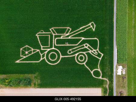 Maislabyrinth bei Frankfurt am Main-stock-foto