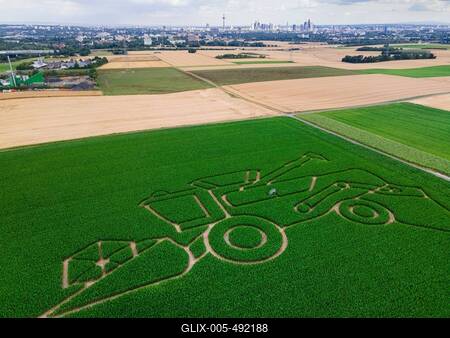 Maislabyrinth bei Frankfurt am Main-stock-foto
