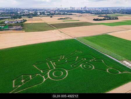 Maislabyrinth bei Frankfurt am Main-stock-foto