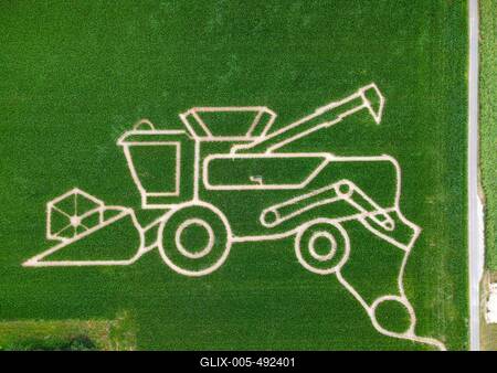 Maislabyrinth bei Frankfurt am Main-stock-foto