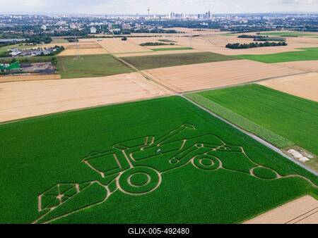 Maislabyrinth bei Frankfurt am Main-stock-foto