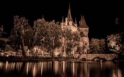 Summer night and Vajdahunyad Castle-stock-photo