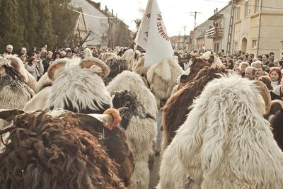 A busójárás, mint népszokási örökség, az UNESCO az Emberiség Szellemi Kulturális Örökség reprezentatív listájára került fel 2009-ben.-stock-foto