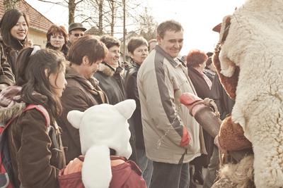 A busójárás, mint népszokási örökség, az UNESCO az Emberiség Szellemi Kulturális Örökség reprezentatív listájára került fel 2009-ben.-stock-foto