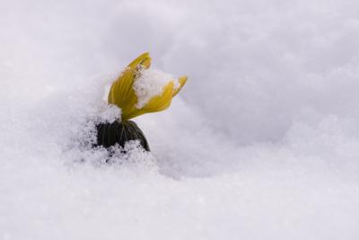 Winter cemetery-stock-foto