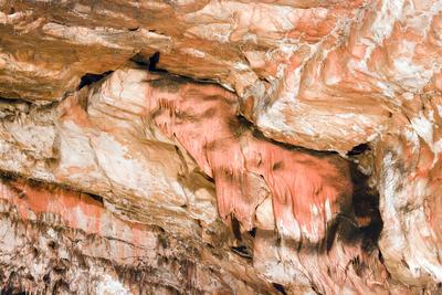 Az Aggteleki Nemzeti Park-stock-foto