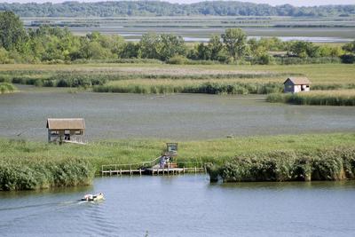 MADÁRBAN GAZDAG TISZATAVI VIZISÉTÁNY ÉS TANÖSVÉNY Poroszlóról Tiszafüred felé tartva a nagy híd előtt a Fűzfa Panziónál kell lekenyarodni és  poroszlói parttól 500 m- re van. Ide a kikőtőből induló motorcsónakokkal visznek be, ha elég látogató összegyűlik, de fél óránál tovább nem kell várni.-stock-foto