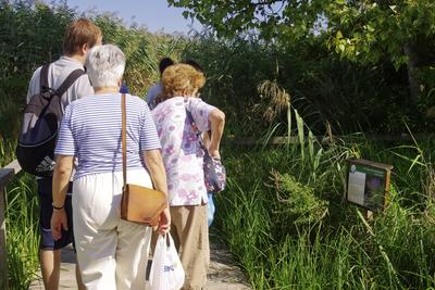 MADÁRBAN GAZDAG TISZATAVI VIZISÉTÁNY ÉS TANÖSVÉNY Poroszlóról Tiszafüred felé tartva a nagy híd előtt a Fűzfa Panziónál kell lekenyarodni és  poroszlói parttól 500 m- re van. Ide a kikőtőből induló motorcsónakokkal visznek be, ha elég látogató összegyűlik, de fél óránál tovább nem kell várni.-stock-foto