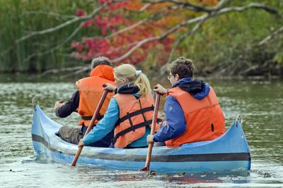 MADÁRBAN GAZDAG TISZATAVI VIZISÉTÁNY ÉS TANÖSVÉNY Poroszlóról Tiszafüred felé tartva a nagy híd előtt a Fűzfa Panziónál kell lekenyarodni és  poroszlói parttól 500 m- re van. Ide a kikőtőből induló motorcsónakokkal visznek be, ha elég látogató összegyűlik, de fél óránál tovább nem kell várni.-stock-foto