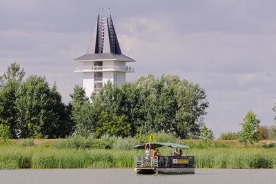 MADÁRBAN GAZDAG TISZATAVI VIZISÉTÁNY ÉS TANÖSVÉNY Poroszlóról Tiszafüred felé tartva a nagy híd előtt a Fűzfa Panziónál kell lekenyarodni és  poroszlói parttól 500 m- re van. Ide a kikőtőből induló motorcsónakokkal visznek be, ha elég látogató összegyűlik, de fél óránál tovább nem kell várni.-stock-foto