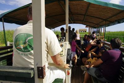 MADÁRBAN GAZDAG TISZATAVI VIZISÉTÁNY ÉS TANÖSVÉNY Poroszlóról Tiszafüred felé tartva a nagy híd előtt a Fűzfa Panziónál kell lekenyarodni és  poroszlói parttól 500 m- re van. Ide a kikőtőből induló motorcsónakokkal visznek be, ha elég látogató összegyűlik, de fél óránál tovább nem kell várni.-stock-foto