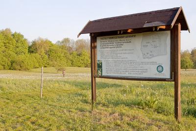 A Babócsai Basa-kert Természetvédelmi Terület 1977 óta védett kultúrtörténeti és növénytani értékei miatt. A mintegy 13 hektáros terület egyedülálló értéke a csillagos nárcisz (Narcissus stellaris), mely fehér virágszőnyegként borítja a mezőt tavasz derekán .-stock-foto
