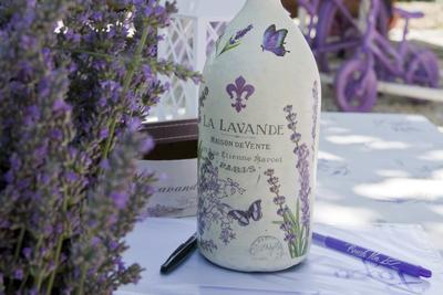 2019-ben először megnyílt a Vénkerti Levendulás, ahol legalább 2000 tő levendula várta az odalátogatókat.-stock-foto