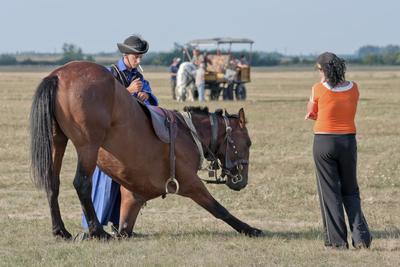 A Hortobágy-stock-foto