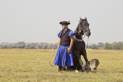 A Hortobágy-stock-foto