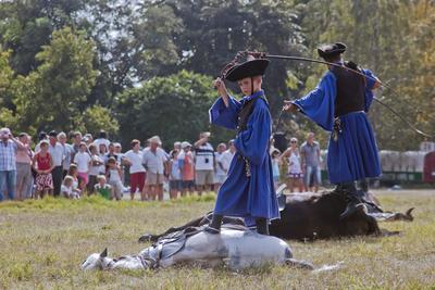 A Hortobágy-stock-foto