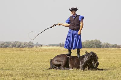 A Hortobágy-stock-foto