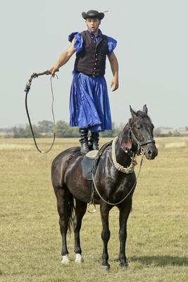 A Hortobágy-stock-foto