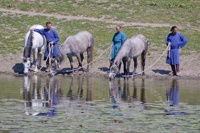 Minden évben megrendezik a hagyományos ősök iránti megemlékezést a Kurultajt, a  honfoglalás alkalmából az Ópusztaszerben található Árpád emlékhelynél.-stock-foto