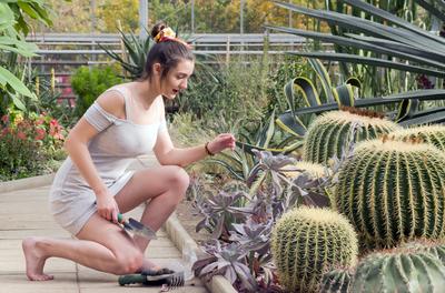 Cactus lover-stock-foto