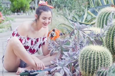 Cactus lover-stock-foto