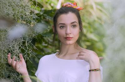 Cactus lover-stock-foto