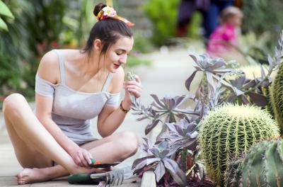 Cactus lover-stock-foto