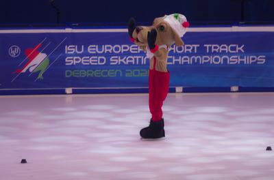ISU European Short Track Speed Skating Championships January 24-26, 2020 Debrecen, Hungary-stock-photo