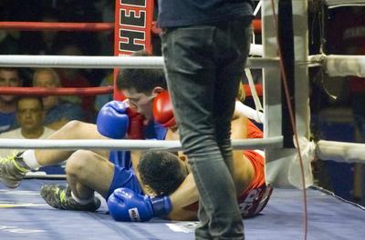 64th István Bocskai Internationale Boxing Tournament-stock-foto