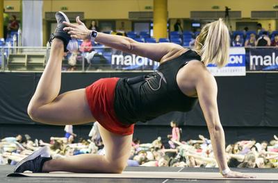 FŐNIX FITT IV-stock-foto