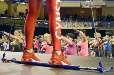 FŐNIX FITT IV-stock-foto