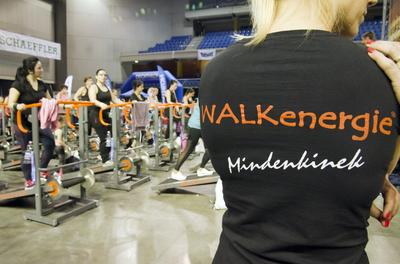 FŐNIX FITT IV-stock-foto