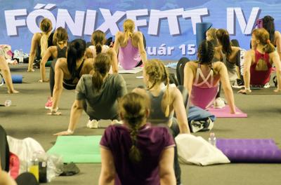 FŐNIX FITT IV-stock-foto