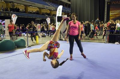 FŐNIX FITT IV-stock-foto