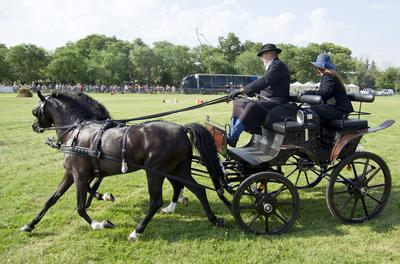 39th Kösely Kupa Hungary/Hajdúszoboszló 2020-stock-foto