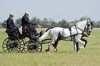 39th Kösely Kupa Hungary/Hajdúszoboszló 2020-stock-foto