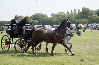 39th Kösely Kupa Hungary/Hajdúszoboszló 2020-stock-foto